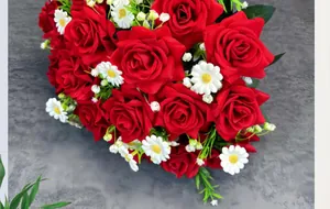 Primer plano de un ramo de rosas de terciopelo rojo y margaritas sobre gris