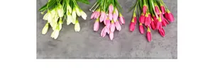 Macro detail of artificial tulip bouquets in cream, light pink and deep rose colors