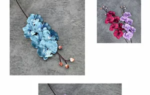 Close-up of silk phalaenopsis orchid petals and buds in various vibrant colors