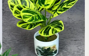 Detailansicht künstlicher Calathea-Blätter mit Mustern in einem bemalten Keramiktopf