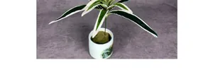 Top view of striped artificial spider plant in a painted white ceramic pot with floral foam
