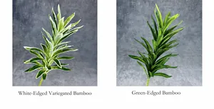 Λεπτομέρεια φύλλων Dracaena reflexa με λευκές άκρες και πράσινο τεχνητό φύλλωμα δέντρου