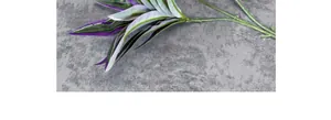 Macro shot of artificial Dracaena leaves with green, white, and purple stripes for home decor