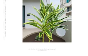 Close-up of artificial Dracaena plant with vibrant green leaves and yellow borders