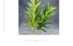 Detailed view of artificial Dracaena leaves with vibrant green and yellow edges