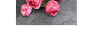 Close-up of pink silk Milanese roses with delicate burnt edges for wedding decor