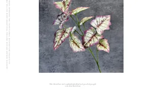 Macro detail of artificial caladium leaf with pink veins and wavy edges for home decor