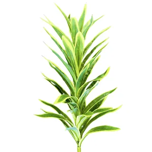 Artificial Dracaena plant leaf spray with natural yellow-green stripes on white background
