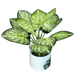 Künstliche Caladium-Topfpflanze mit grün-weißen Blättern in einem weißen Dekotopf