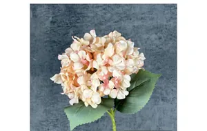 Close-up of champagne pink hydrangea petals with detailed green leaves and texture