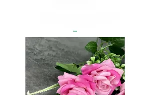 Macro detail of multi-layered velvet rose petals with realistic gradient dye and green leaves
