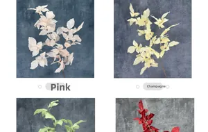 Dettaglio di foglie artificiali in rosa e champagne per decorazione di matrimoni