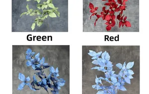Dettaglio di rami di fogliame sintetico in verde, rosso e blu per decorazioni casa
