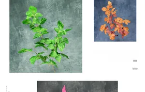 Dettaglio di foglie artificiali verdi e rosse autunnali con venature realistiche