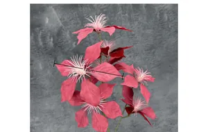 Macro detail of artificial poinsettia flower head with an 18cm diameter measurement