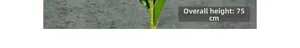 Macro detail of artificial lily stem with realistic texture showing 75CM total height
