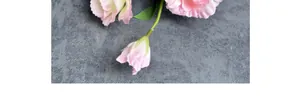 Macro detail of artificial pink Lisianthus with gradient petals and green leaves