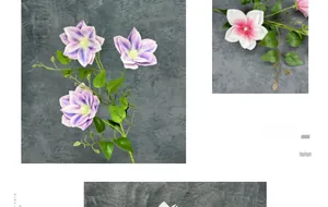 Macro shot of 10cm realistic 3D printed clematis petals with natural gradient texture