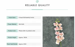 Detailansicht der Seidenorchidee mit Maßen von 70cm Höhe und 8cm Blütendurchmesser