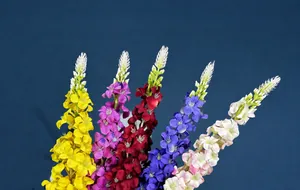 Detail of colorful silk snapdragon flowers with long spike inflorescences and vibrant petals