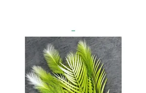Dettaglio della trama di erba di canna artificiale a 5 teste con finitura in seta decorativa