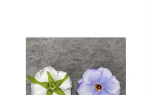 Vista macro de cabezas de flores de seda blancas y púrpuras para decoración de bodas