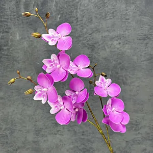 Realistische paarse 3D vlinderorchidee steel met bloemen en knoppen voor interieur