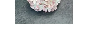 Macro detail van roze en witte zijden hortensia bloemblaadjes met realistisch verloop