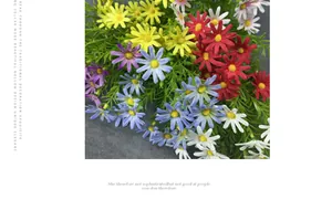 Detailed close-up of colorful artificial daisies in red yellow blue and purple tones