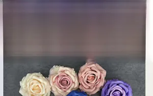 Macro view of 11cm artificial silk rose head showing petal texture and multi-color options