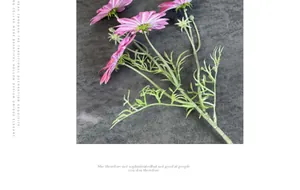 Macro-opname van kunstmatige roze cosmosbloem op een donkere getextureerde achtergrond