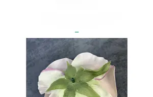 Close-up of artificial silk rose base showing green sepals and pink-white petals