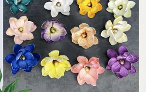 Draufsicht auf 12 bunte EVA-Magnolienblütenköpfe auf grauem Hintergrund angeordnet