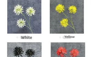 Close-up of artificial pincushion flowers in white, yellow, black and red for home decor