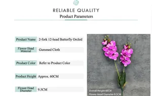 Macro view of realistic 60cm pink Phalaenopsis orchid with 9.5cm flower head detail