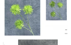 Macro detail of artificial three-headed green onion ball flower with realistic silk petals