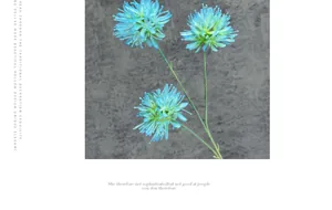 Detail of blue artificial scallion ball flower with three heads for home decor