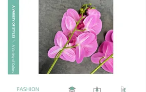Close-up of pink phalaenopsis orchid with striped petals and purple center