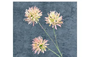 Detail of three-headed onion ball artificial flowers with pink-green gradient petals