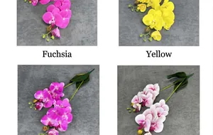 Detailed macro shots of artificial Phalaenopsis orchid petals in four vibrant color options