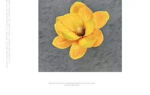Detailansicht der gelben EVA-Magnolienblüte mit realistischer Textur und Glanzfinish