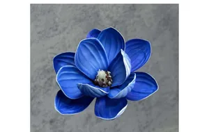 Draufsicht auf eine blaue EVA-Magnolienblüte mit weißen Rändern auf grauem Steingrund