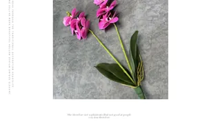 Detailed view of pink artificial orchid with two flower heads and realistic green leaves