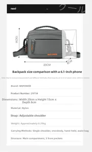 Spécifications de taille pour sac bandoulière gris en nylon 20x15x8cm avec compartiments