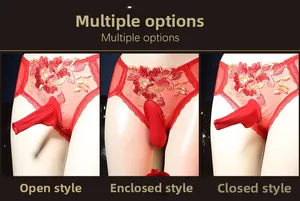 Vues détaillées de la dentelle brodée rouge sur le slip sexy en mesh pour hommes