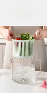 Detail view of 2500ml vegetable dehydrator with clear scale and green strainer basket