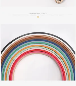 Selection of colorful slim leather belts with gold pin buckles in various vibrant shades