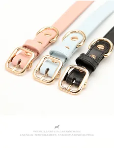 Detail view of colorful PU leather pet collars with durable gold metal buckles and D-rings