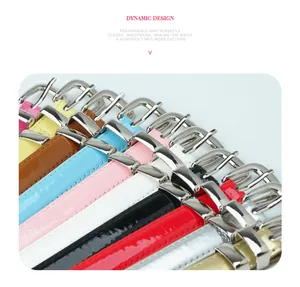 Close-up of colorful glossy skinny belts with polished silver buckles in various vibrant colors