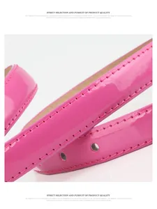 Macro detail of glossy magenta patent leather belt with neat stitching and punch holes